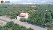 Mires - Pombia Süd Kreta, ruhiges EFH im Olivenhain Wfl.70qm Grdst. ca.5500qm Haus kaufen